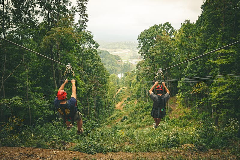 Zipline