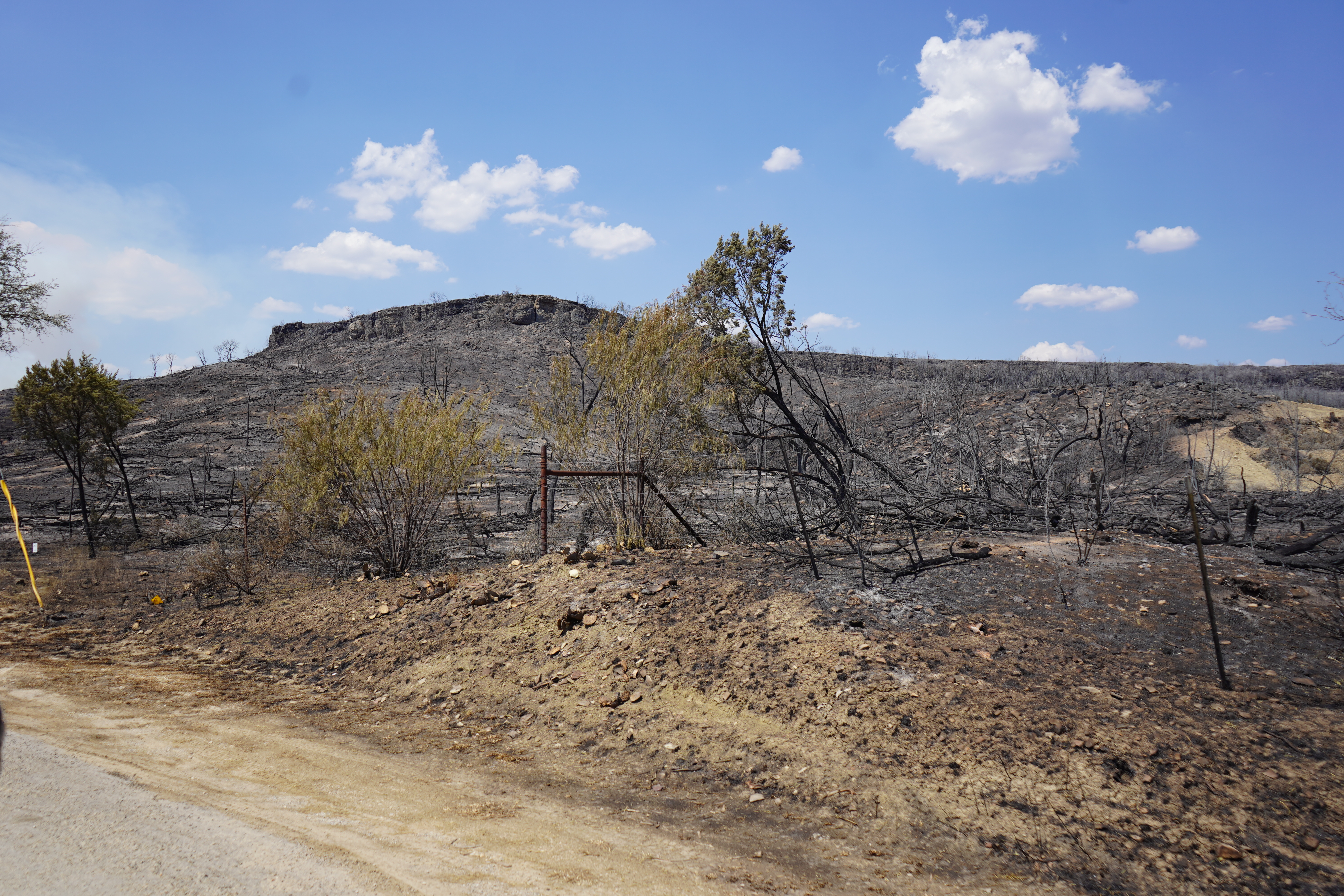 Worth Ranch following the Ross Fire