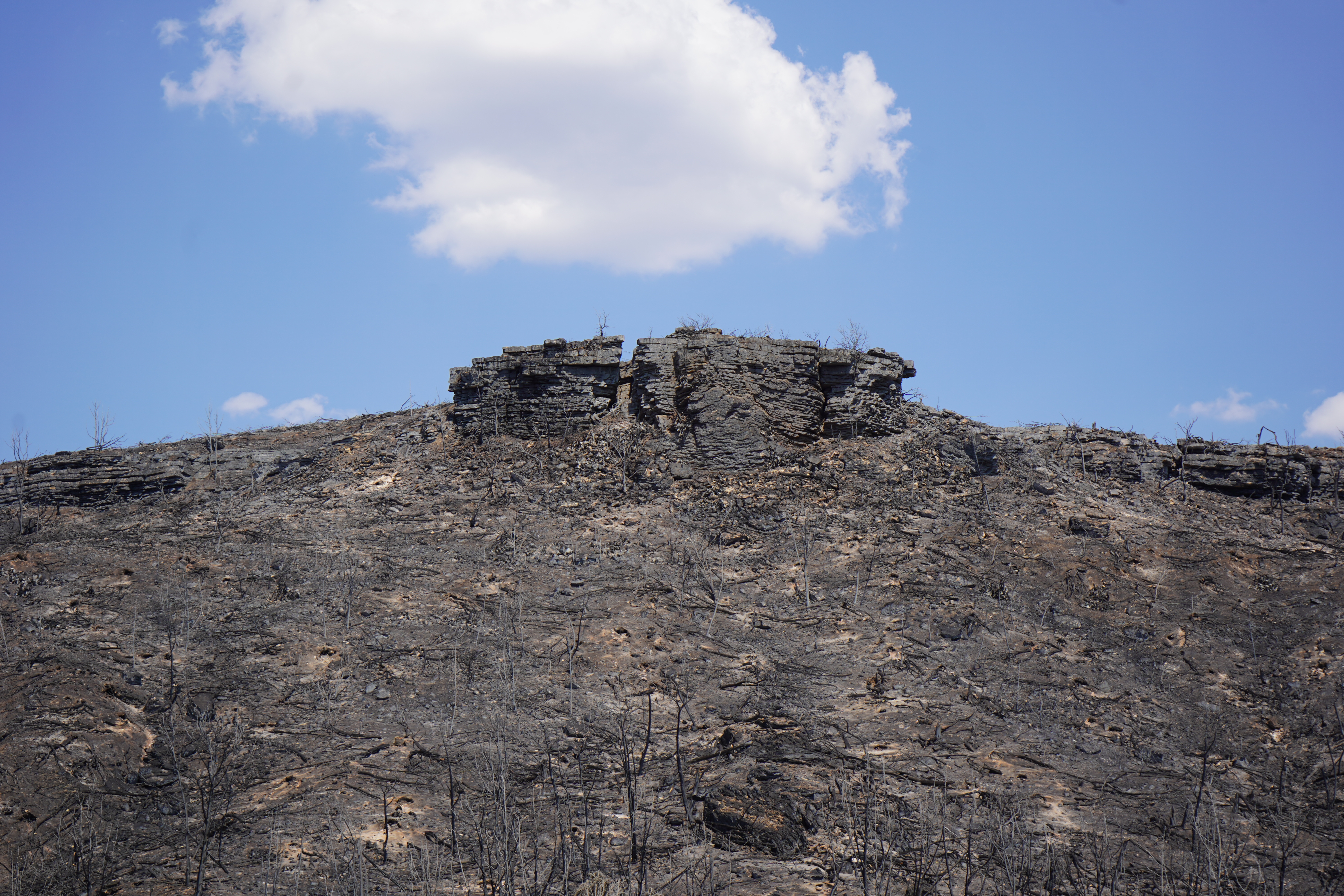 Worth Ranch following the Ross Fire